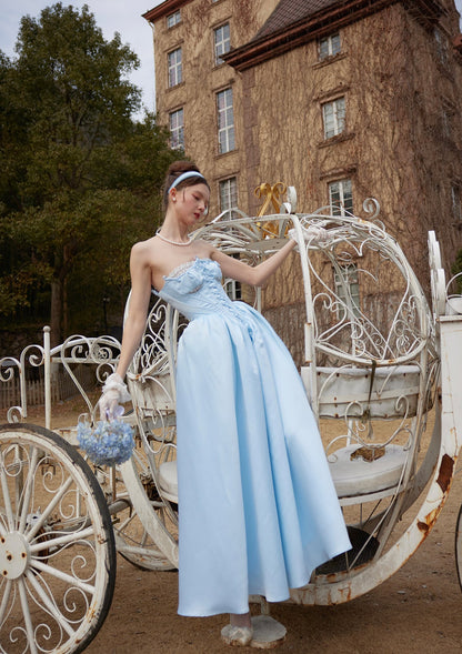 Cinderella Dress ¢ò