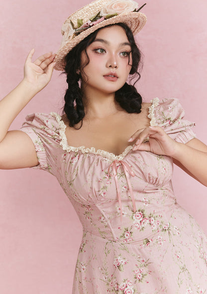Curve &amp; Plus Rosa Rubus Story Corset Dress