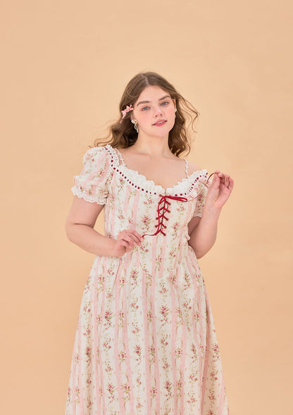 Curve &amp; Plus Audrey Tea Party Corset Dress