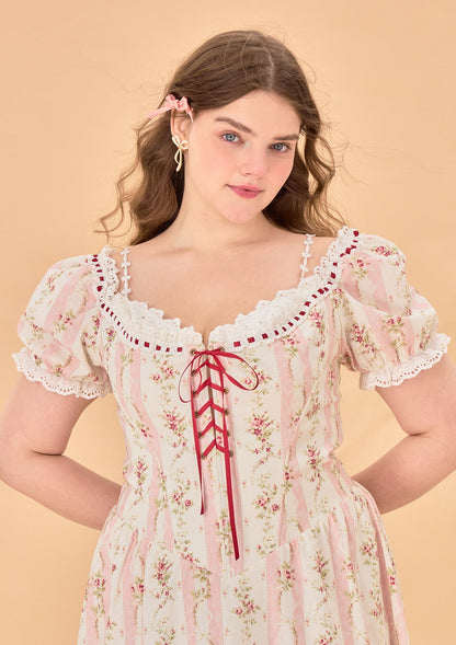 Curve &amp; Plus Audrey Tea Party Corset Dress
